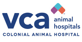 VCA Colonial